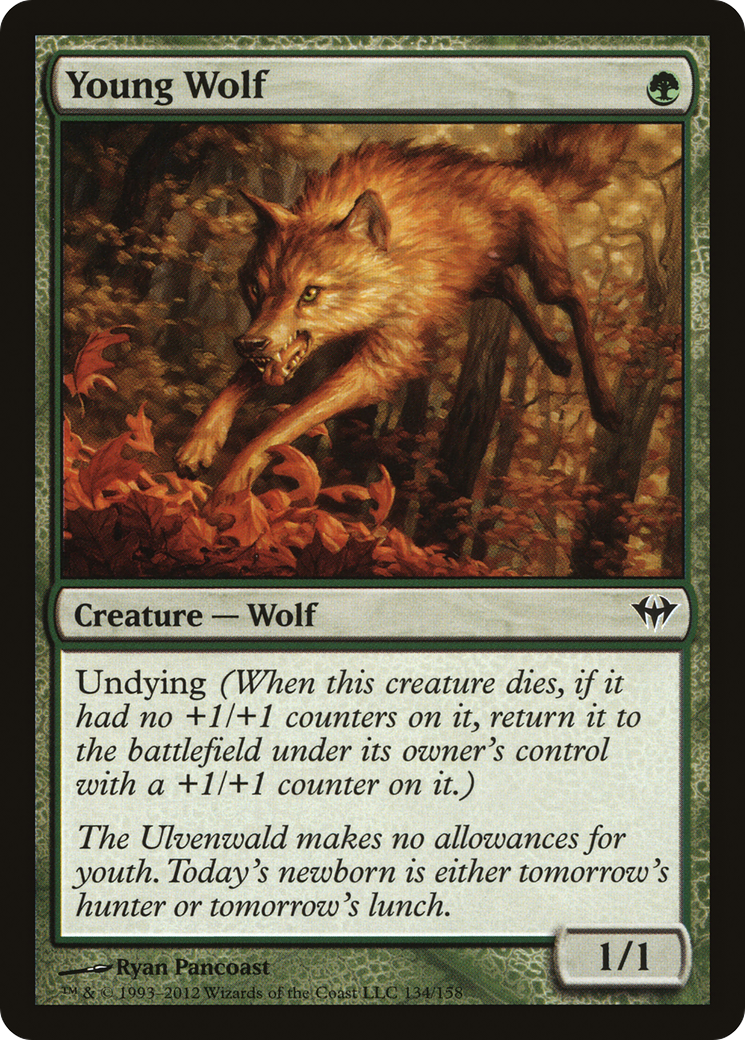 {C} Young Wolf [Dark Ascension][DKA 134]