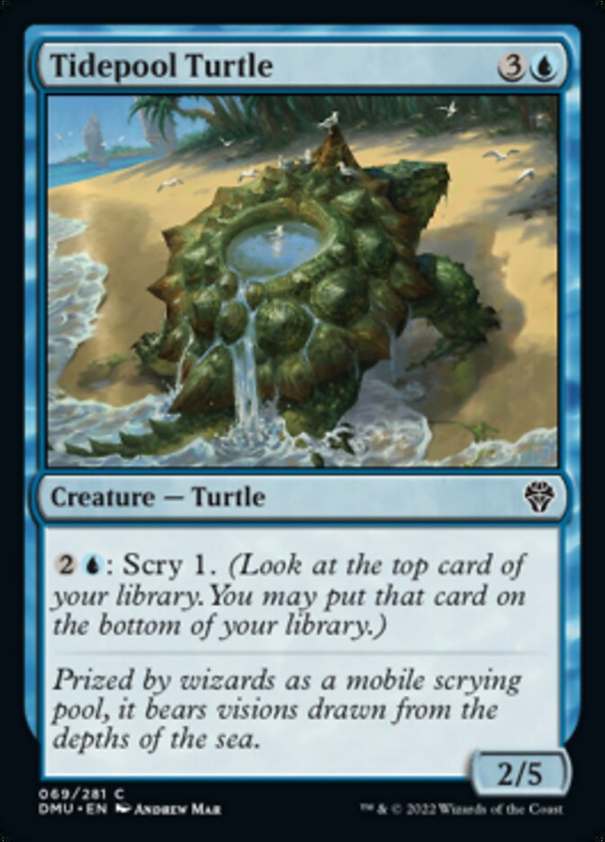 {@C} Tidepool Turtle [Dominaria United][DMU 069]