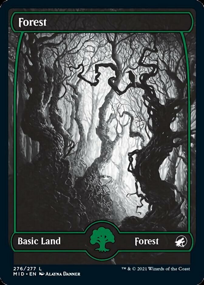 {B}[MID 276] Forest (276) [Innistrad: Midnight Hunt]