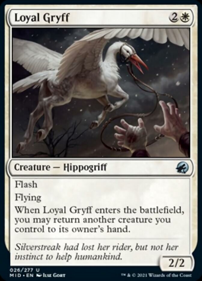 {C} Loyal Gryff [Innistrad: Midnight Hunt][MID 026]