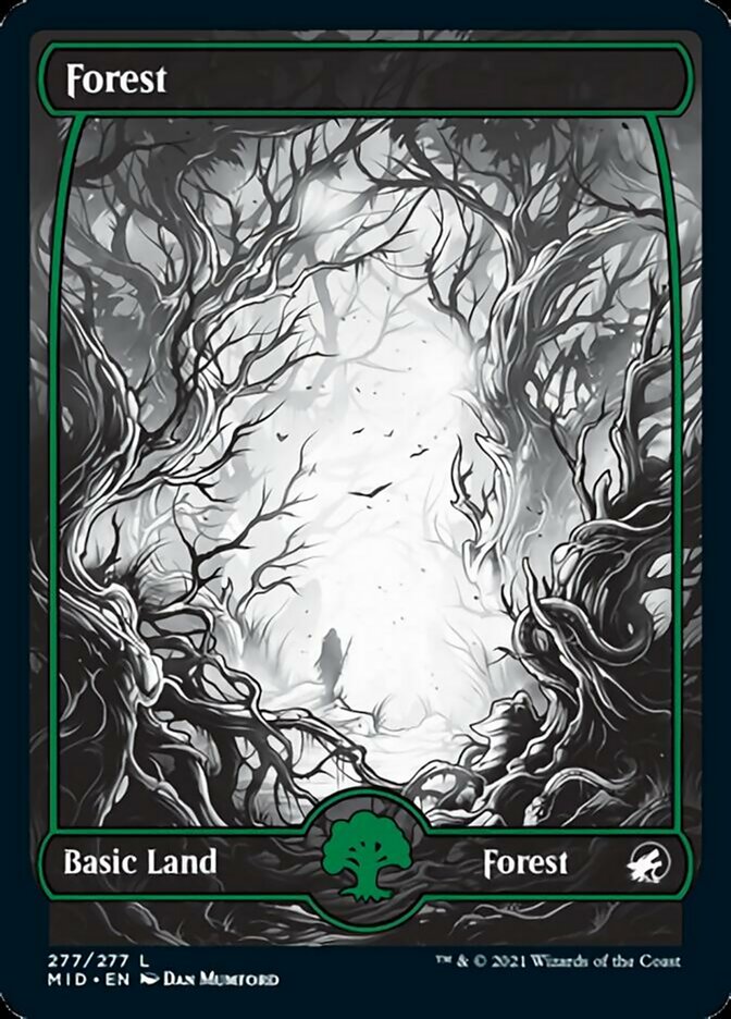 {B}[MID 277] Forest (277) [Innistrad: Midnight Hunt]